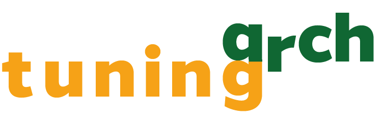 Tuning Architecture logo-Davide Ruzzon