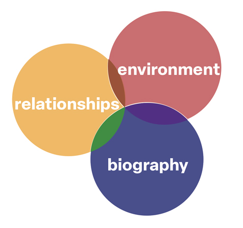 why tuning arch- neuroscience architecture-davide ruzzon