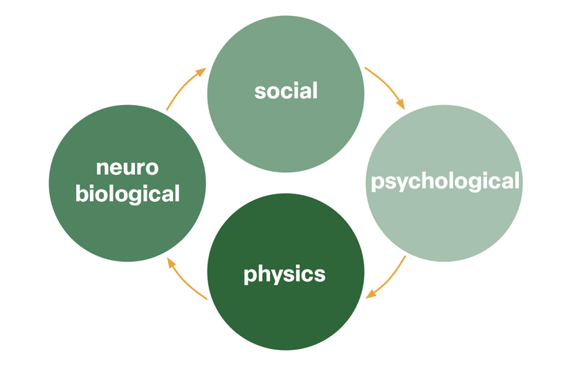 why tuning arch- neuroscience architecture-davide ruzzon
